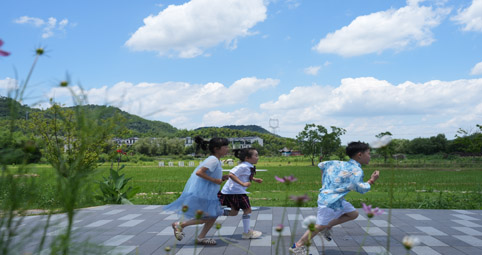 2025年全国环境空气质量历史最优