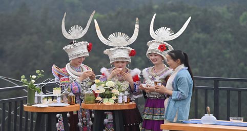 踏青品茶大苗山