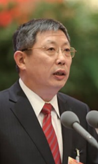 上海市市长杨雄